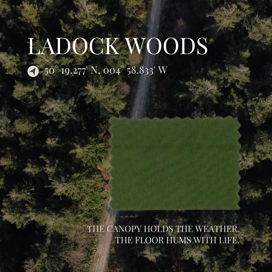 Women’s One-Piece Training Swimsuit – Double Strap